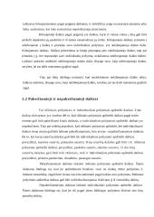 Daiktai kaip civilinės teisės objektai 5 puslapis