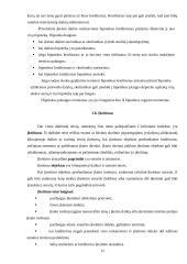 Daiktinė ir nuosavybės teisė  11 puslapis
