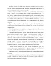 Daiktinės teisės funkcijos 11 puslapis