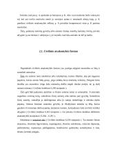 Daiktinės teisės funkcijos 12 puslapis