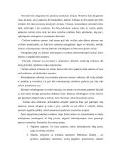 Daiktinės teisės funkcijos 13 puslapis