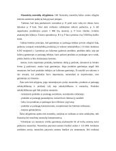 Daiktinės teisės funkcijos 15 puslapis