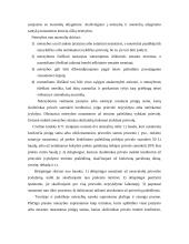 Daiktinės teisės funkcijos 17 puslapis