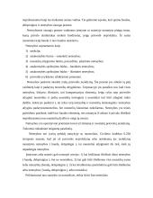 Daiktinės teisės funkcijos 18 puslapis