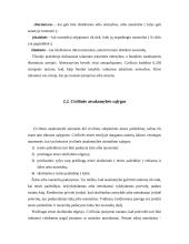 Daiktinės teisės funkcijos 19 puslapis