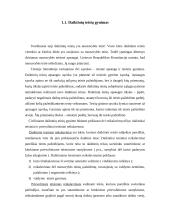 Daiktinės teisės funkcijos 3 puslapis