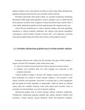 Daiktinės teisės funkcijos 4 puslapis