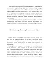 Daiktinės teisės funkcijos 6 puslapis