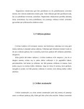 Daiktinės teisės funkcijos 9 puslapis