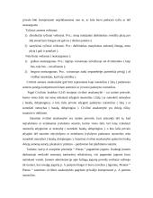 Daiktinės teisės funkcijos 10 puslapis