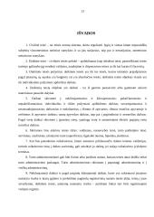 Daiktinės teisės objektai 12 puslapis