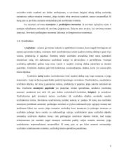 Daiktinės teisės samprata ir daiktinių teisių rūšys 6 puslapis