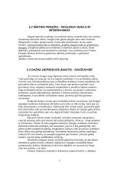 Nuotaikos sutrikimai, depresija  5 puslapis