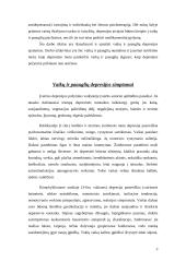 Depresija ir jos simptomai 3 puslapis
