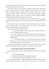 Duomenų apsauga ir autorinės teisės 13 puslapis