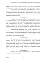 Džiuzepe Kolombero. Vidinio išgijimo kelias 11 puslapis