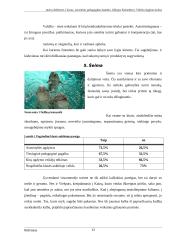 Džiuzepe Kolombero. Vidinio išgijimo kelias 12 puslapis