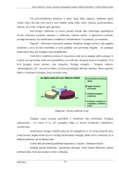 Džiuzepe Kolombero. Vidinio išgijimo kelias 13 puslapis