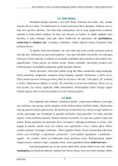 Džiuzepe Kolombero. Vidinio išgijimo kelias 5 puslapis