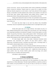 Džiuzepe Kolombero. Vidinio išgijimo kelias 10 puslapis