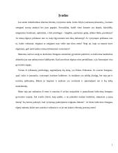 E. Eriksono epigenetinės raidos teorija 2 puslapis