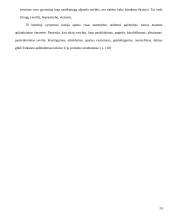 E. Eriksono epigenetinės raidos teorija 11 puslapis
