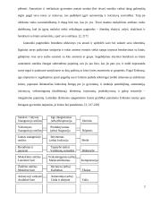 E. Eriksono epigenetinės raidos teorija 4 puslapis