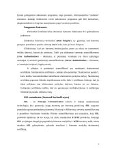 Elektroninių parduotuvių kūrimas 7 puslapis