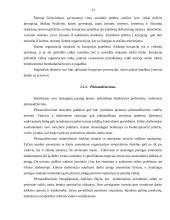 Etikos problemos viešajame administravime 13 puslapis