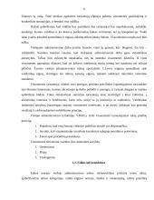 Etikos problemos viešajame administravime 6 puslapis