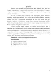 Eurointegracija ir žmogaus teisės Lietuvoje 2 puslapis