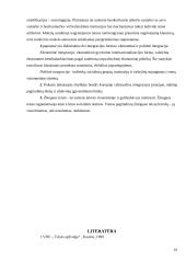 Eurointegracija ir žmogaus teisės Lietuvoje 19 puslapis