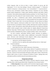 Eurointegracija ir žmogaus teisės Lietuvoje 4 puslapis