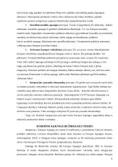 Eurointegracija ir žmogaus teisės Lietuvoje 6 puslapis