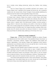 Eurointegracija ir žmogaus teisės Lietuvoje 8 puslapis