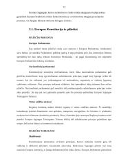 Europos Sąjunga (ES) ir žmogaus teisių gynimas 12 puslapis