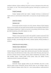 Europos Sąjunga (ES) ir žmogaus teisių gynimas 13 puslapis