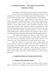 Europos Sąjunga (ES) ir žmogaus teisių gynimas 15 puslapis