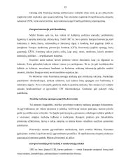 Europos Sąjunga (ES) ir žmogaus teisių gynimas 19 puslapis