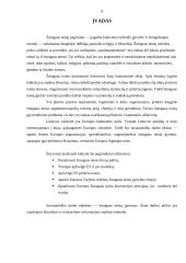 Europos Sąjunga (ES) ir žmogaus teisių gynimas 4 puslapis