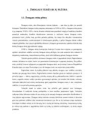 Europos Sąjunga (ES) ir žmogaus teisių gynimas 5 puslapis