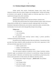 Europos Sąjunga (ES) ir žmogaus teisių gynimas 6 puslapis