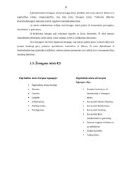 Europos Sąjunga (ES) ir žmogaus teisių gynimas 10 puslapis