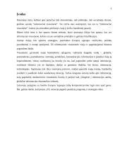 Europos Sąjungos (ES) informacinės visuomenės strategijos ir programos 3 puslapis