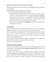 Europos Sąjungos (ES) informacinės visuomenės strategijos ir programos 10 puslapis