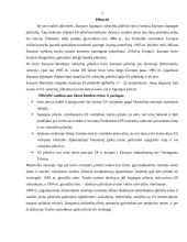 Europos Sąjungos (ES) pilietybė 3 puslapis