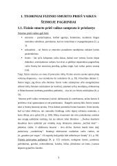 Fizinis smurtas prieš vaikus šeimoje 3 puslapis