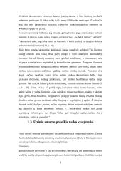 Fizinis smurtas prieš vaikus šeimoje 6 puslapis
