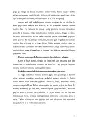 Fizinių asmenų civilinis teisnumas 13 puslapis