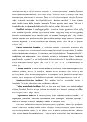 Gabių vaikų asmenybės vystymosi problemos 2 puslapis